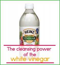 The cleansing power of the white vinegar