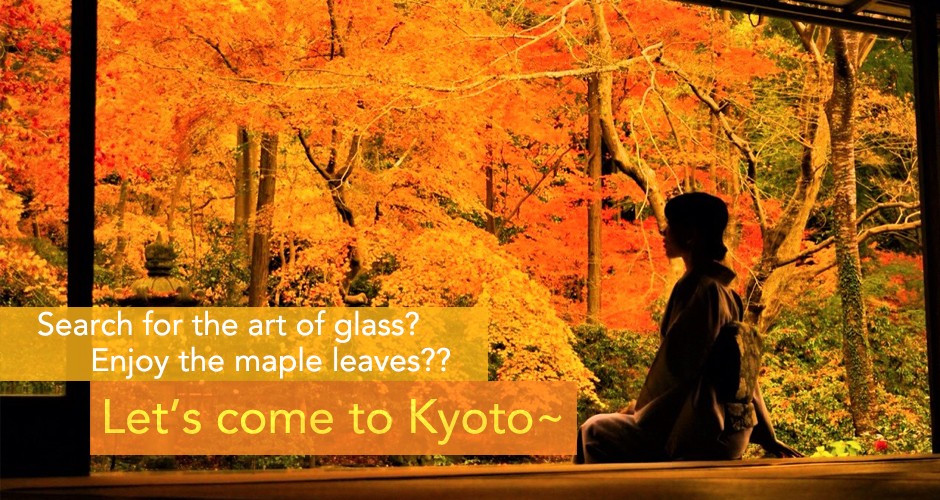 Search for the art of glass? Enjoy the maple leaves?? Let’s come to Kyoto~